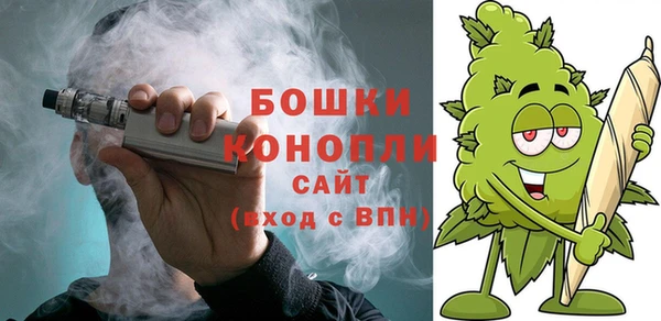 спайс Бородино